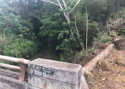 Trees removed - on bridge