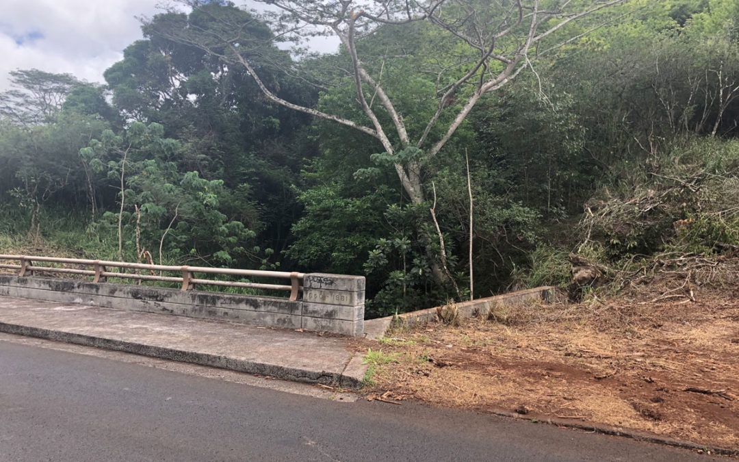 Trees removed to protect bridge